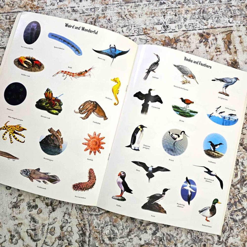 Set of 2 Children's Sticker Books. "Slimy & Scaly" and "Wet & Wild" . Softcover. - Picture 6 of 16